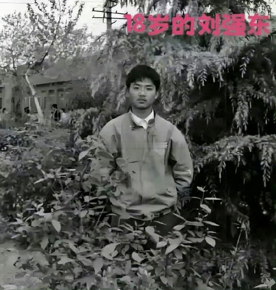 18岁的刘强东 vs 18岁的章泽天  