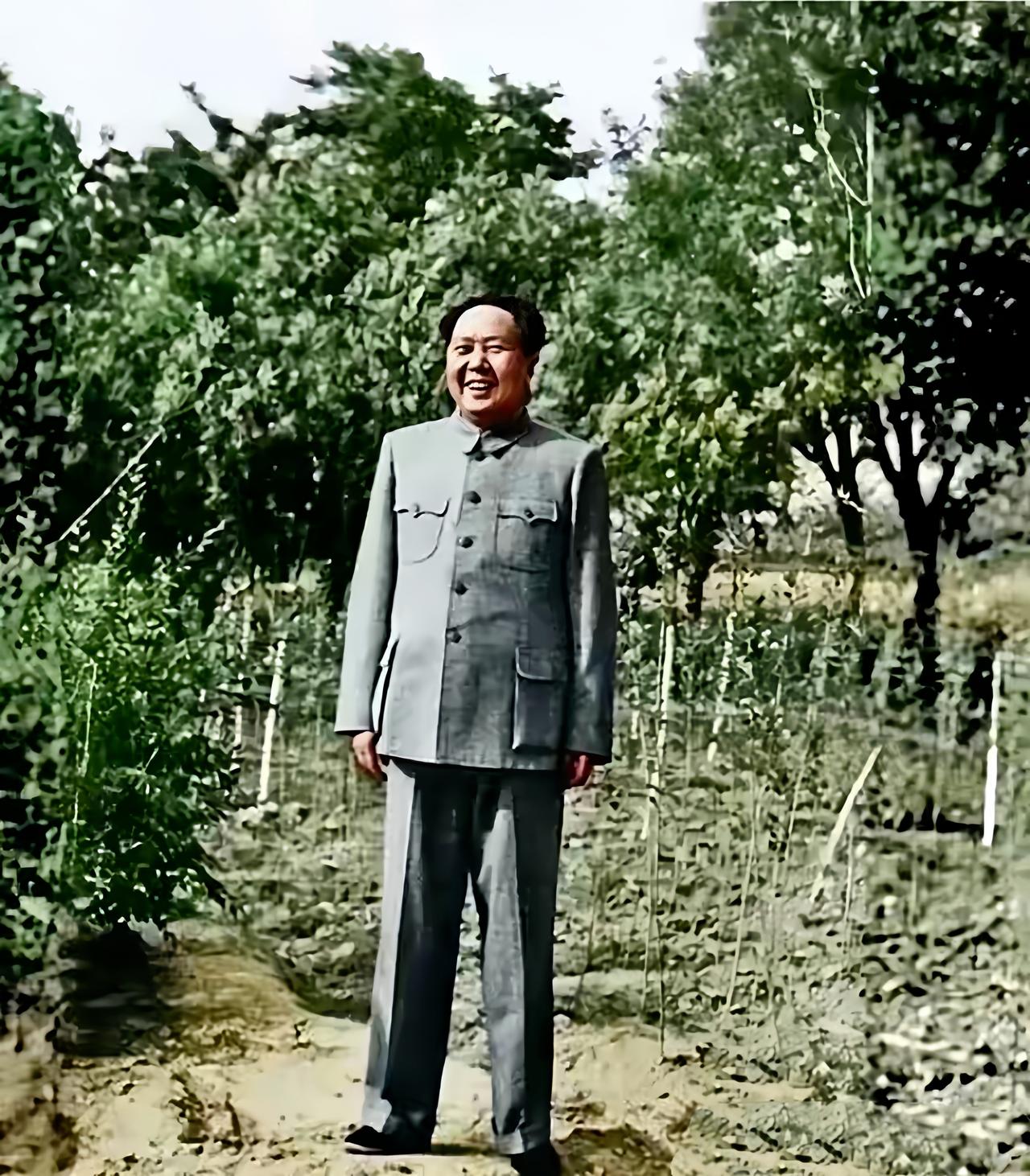 下图是毛泽东1951年去农村某地考察时拍下的照片，他开心笑的原因，居然仅仅因为看