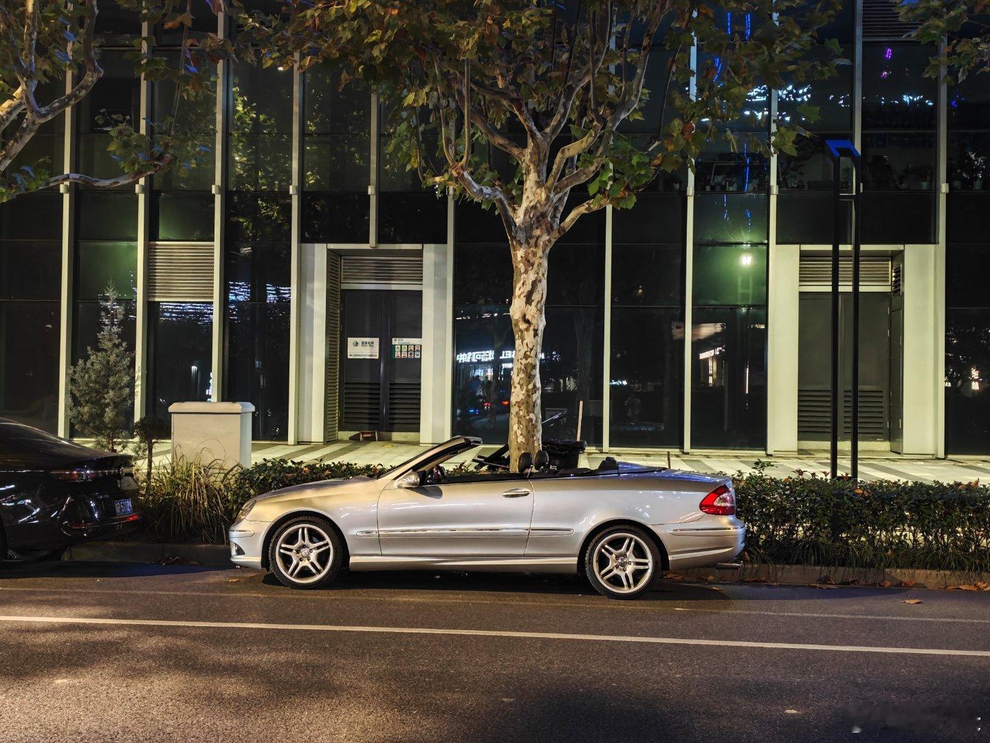 享受最后的一点秋天 