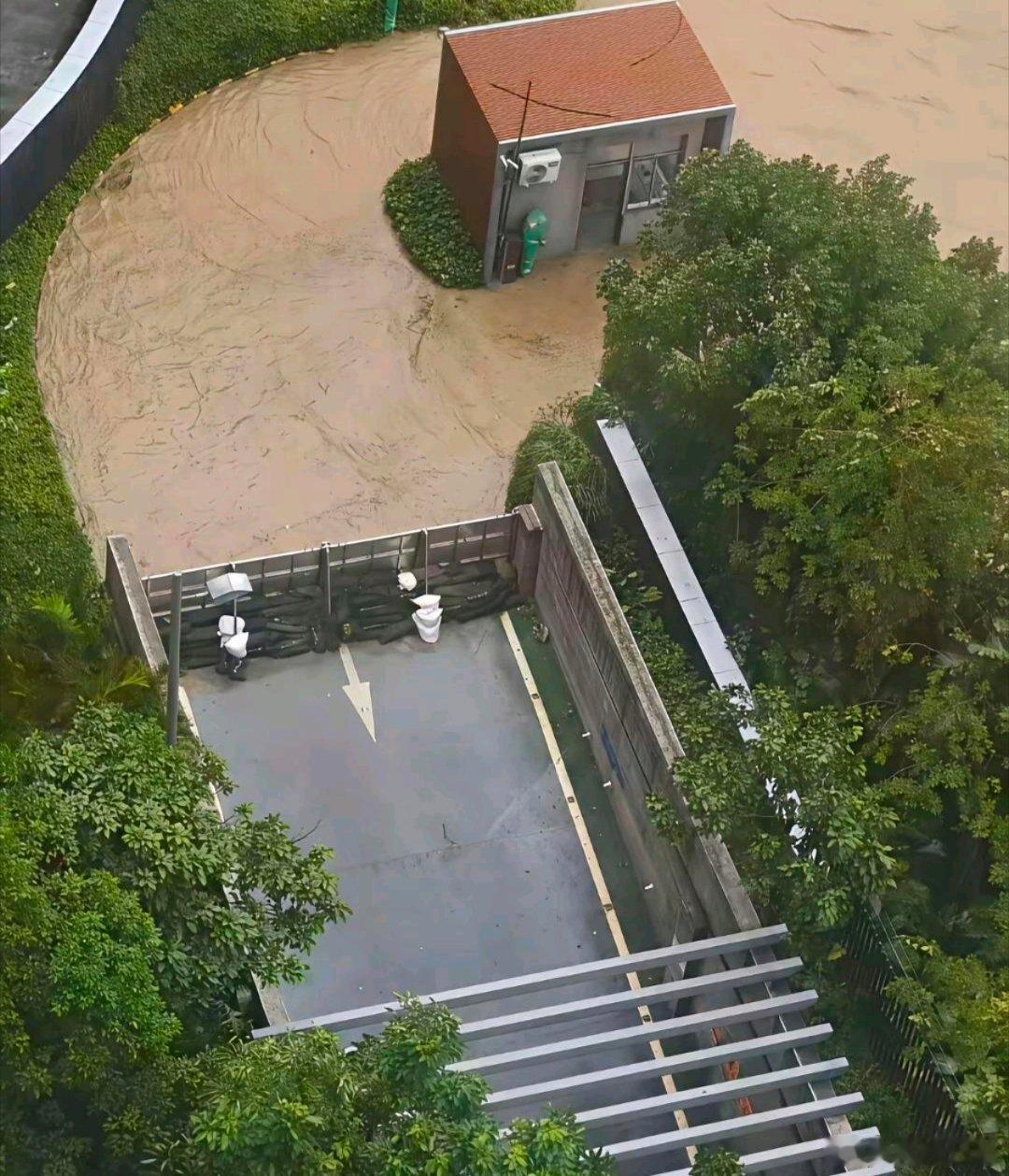 这物业费交的是一点都不冤 