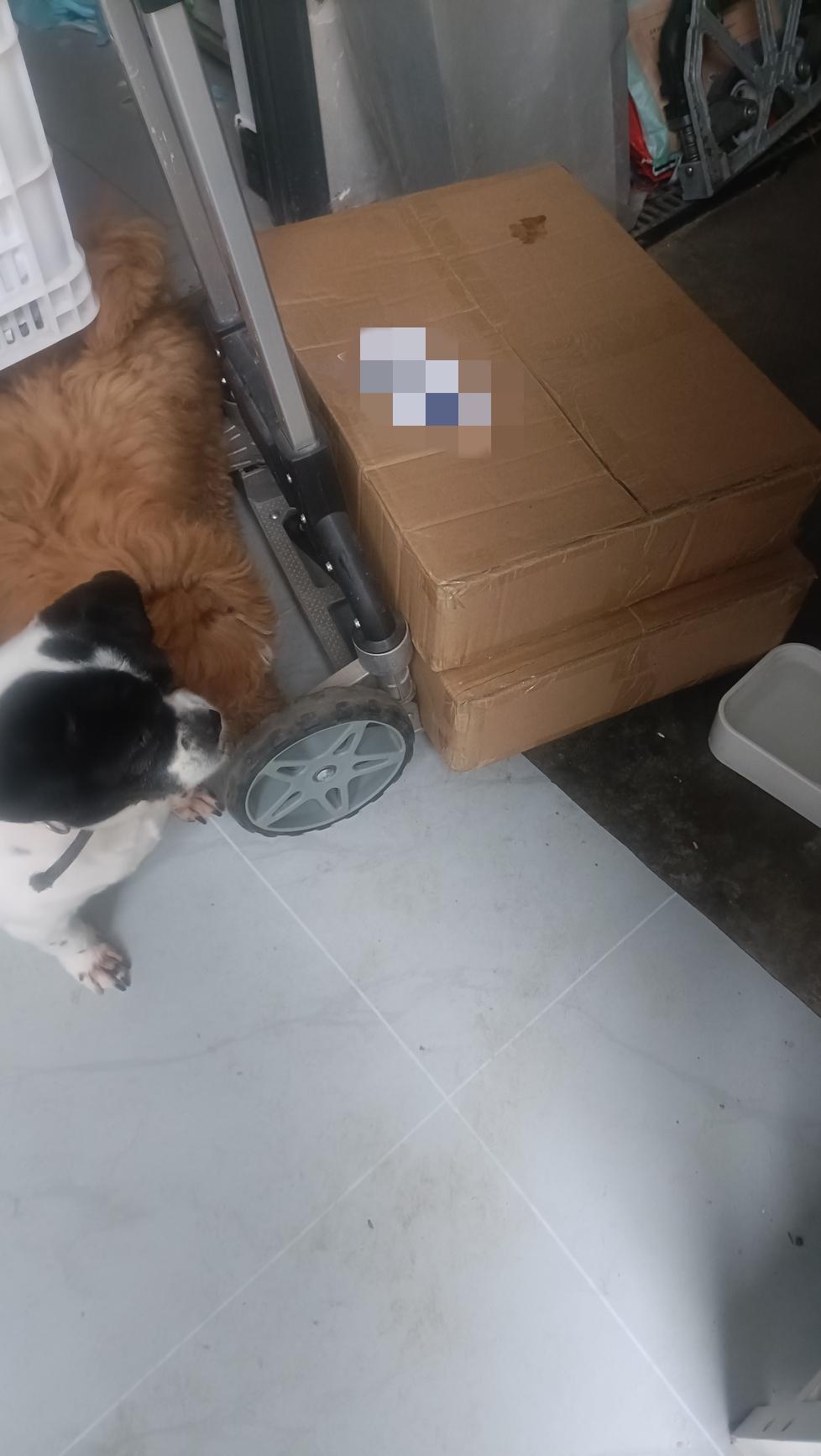 今天收到未留名好心人寄来的20斤猫粮，感恩感谢！[祈祷][祈祷][祈祷]
这些流