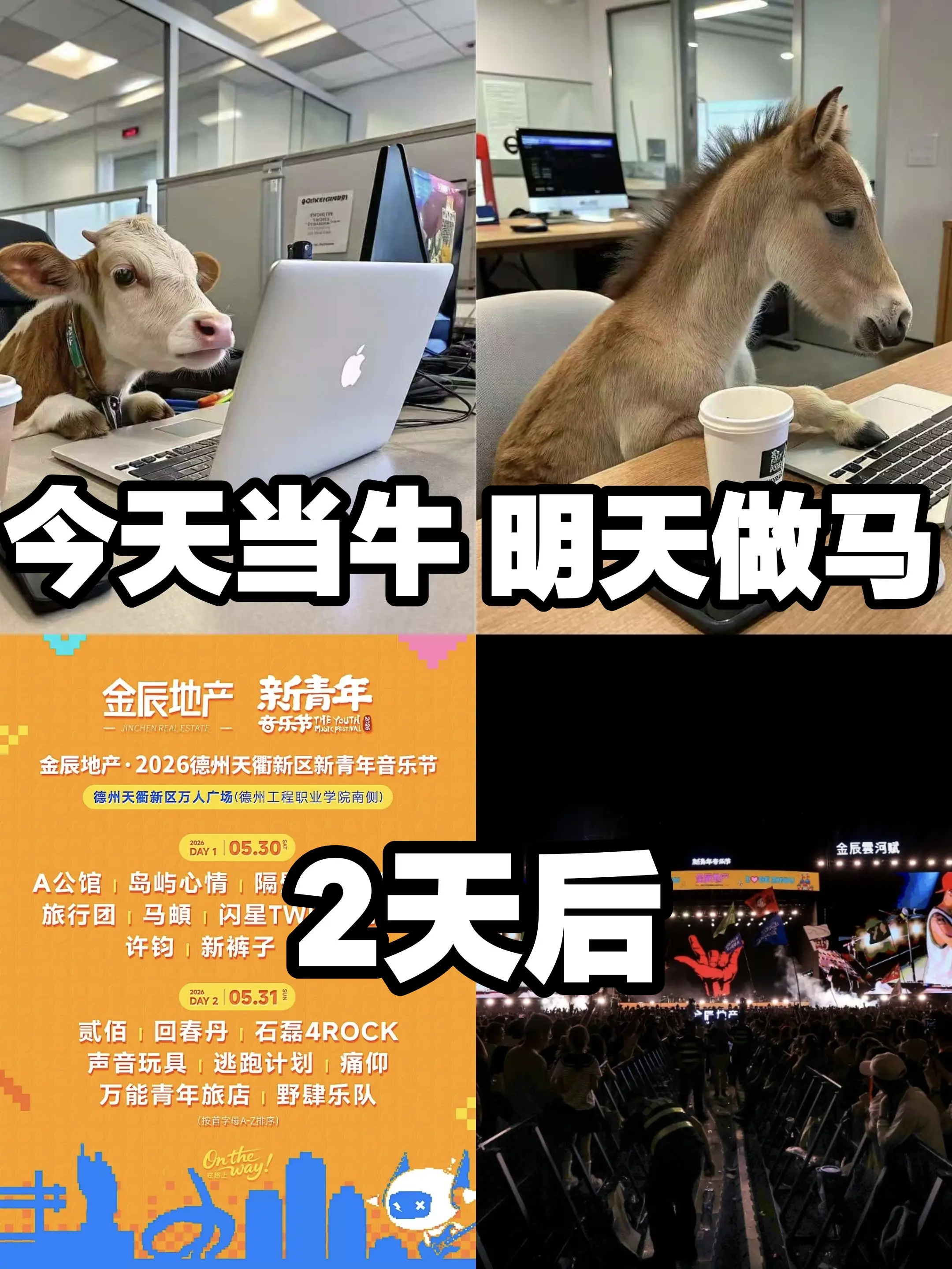 现场见！有物料的请大把的塞我~
