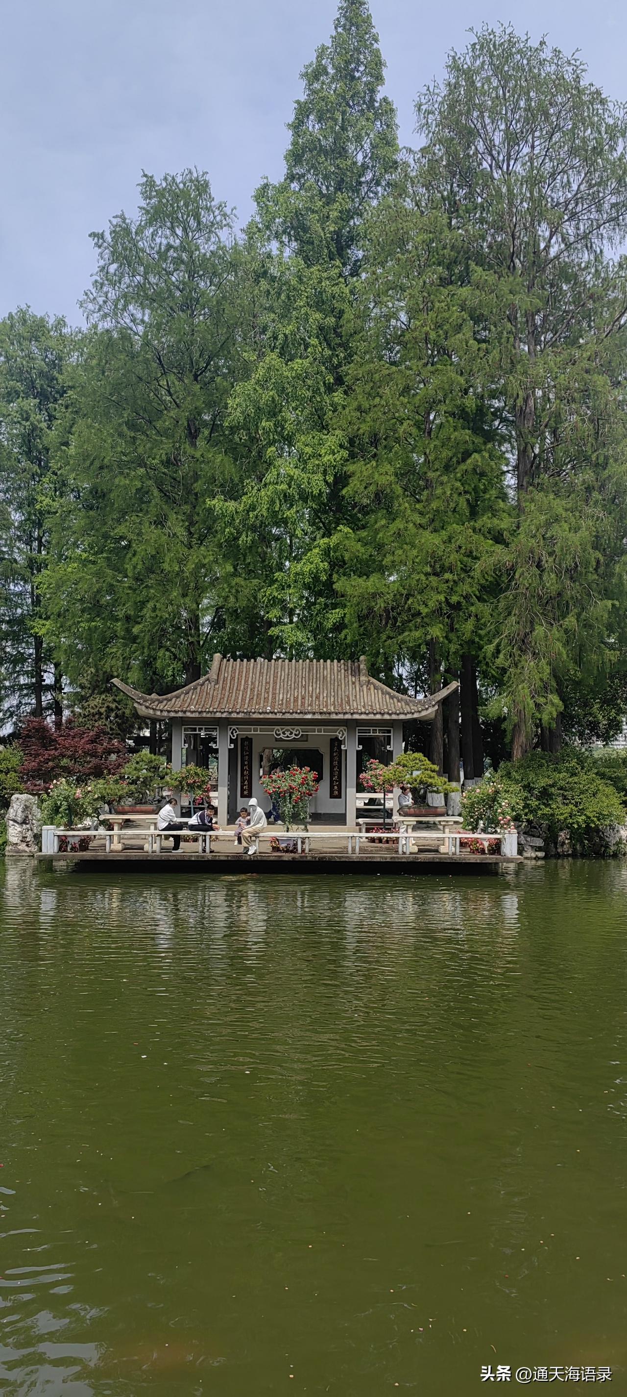 晒图笔记大赛湖边小亭，静然而立。浮与湖水之上，飞檐眺与苍穹之中。翠色华盖，鸟回闲