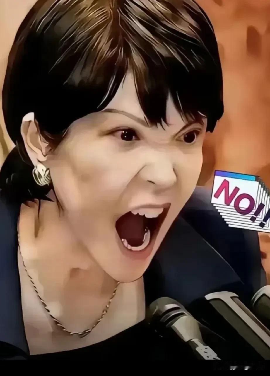 4月28日，联合国安理会上演精彩一幕。中国代表当着全世界的面，直接硬刚日本和欧盟