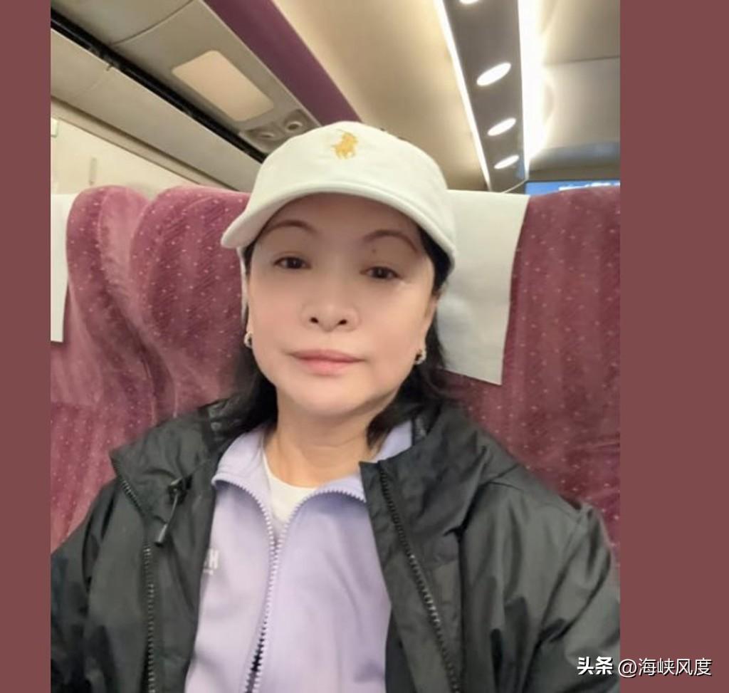 戴遐龄处理基金会事务粗劣遭质疑，传陈以信或罗智强接任执行长可能性有多高？戴遐龄作