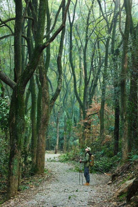 永远可以被大自然治愈
