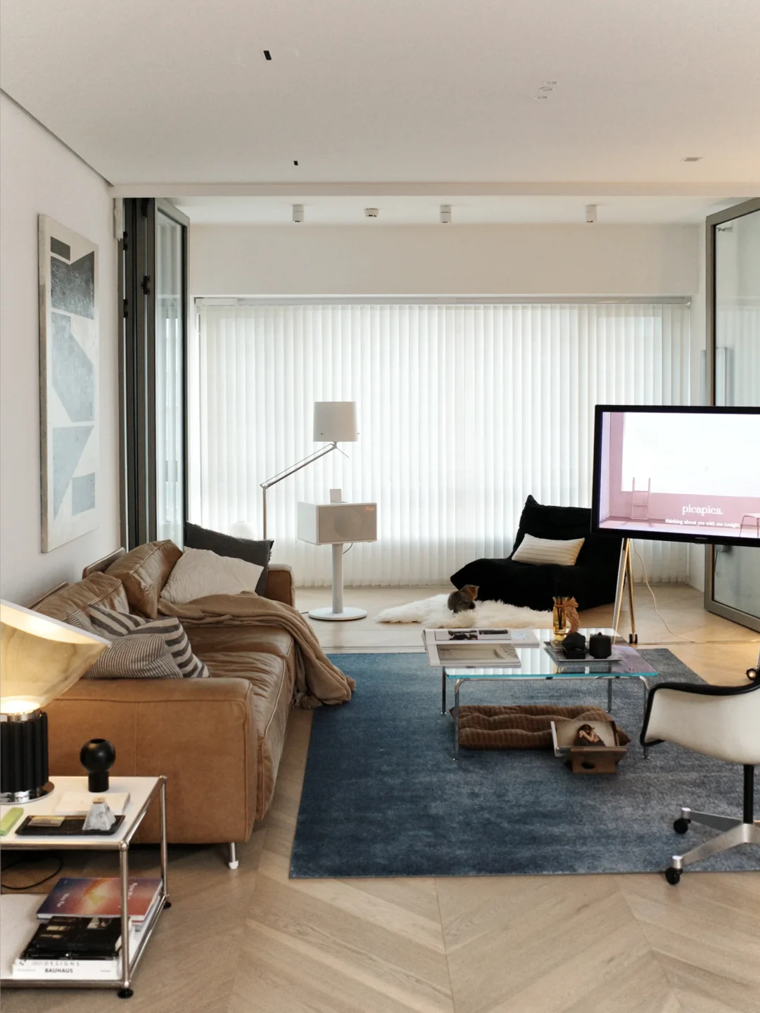 与毛绒设计师同居的日子