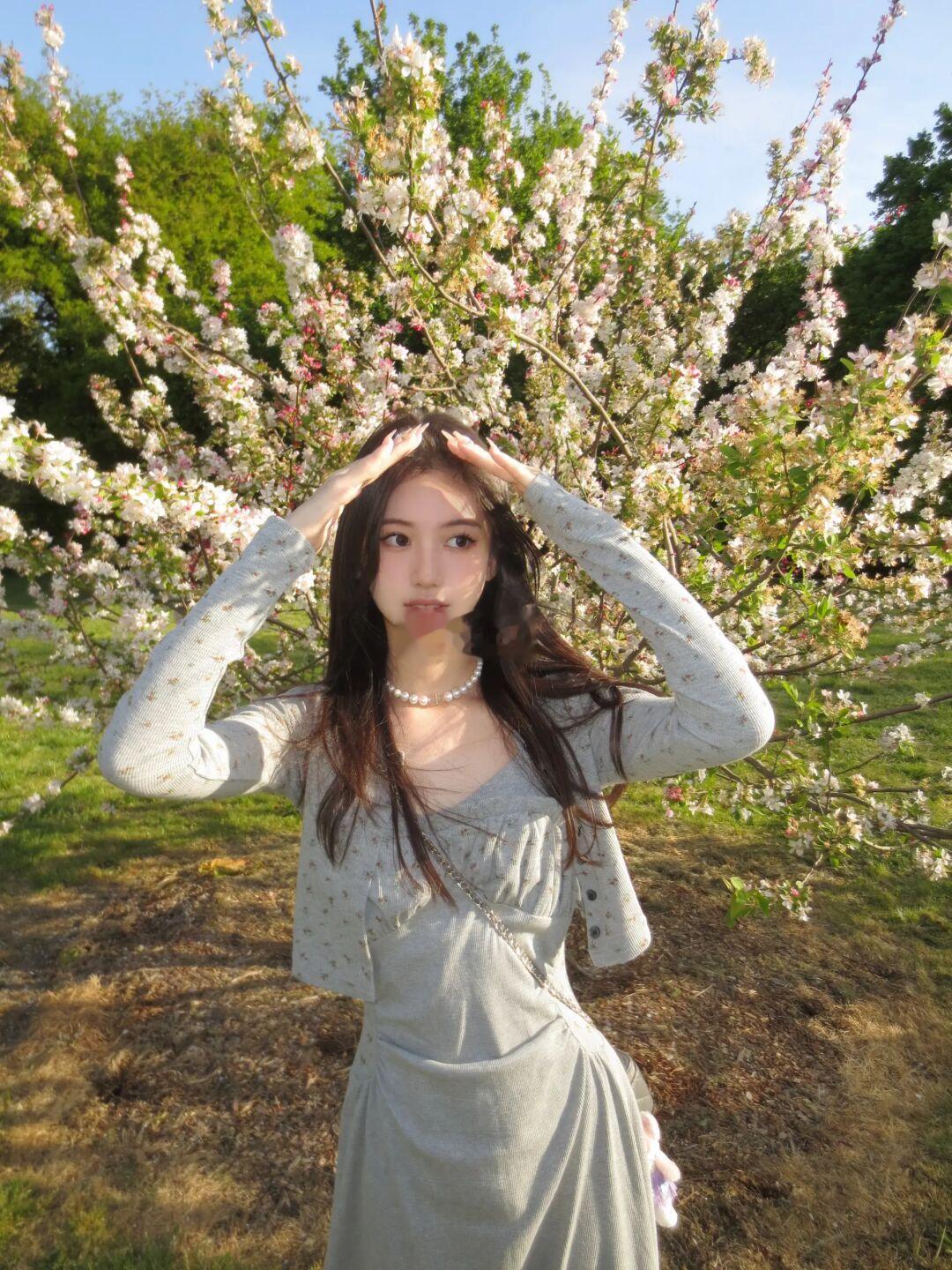 PLoG｜看小小樱花树  ꪔ🧁 ⋆𓈒🐰 𓂂 🌸ᰔᩚ