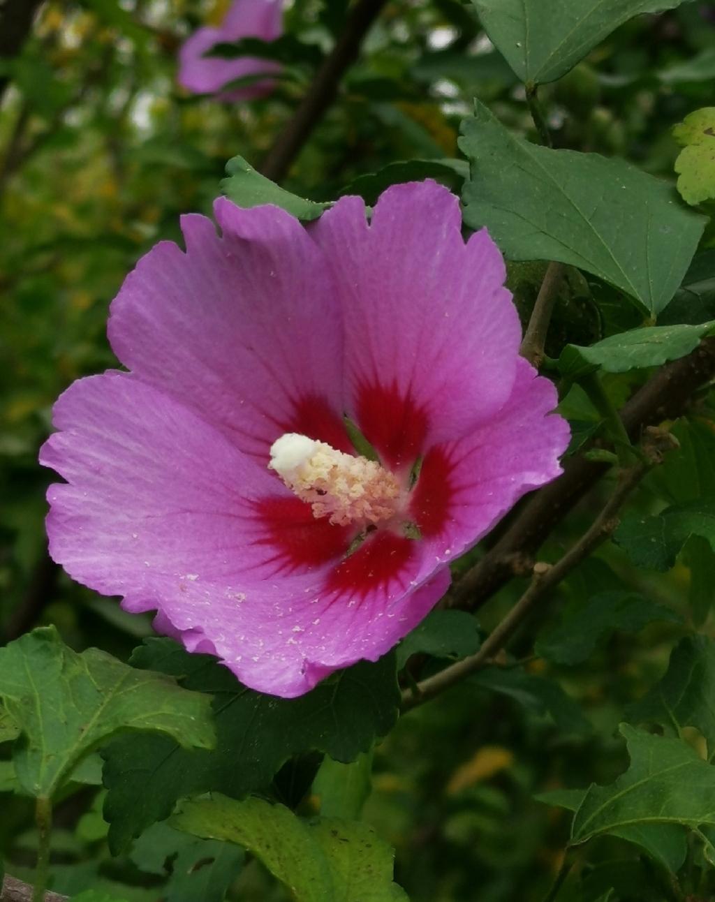 现在好多电商平台和银行推行“免密支付”和“先用后付”的支付结算方式。殊不知这种支