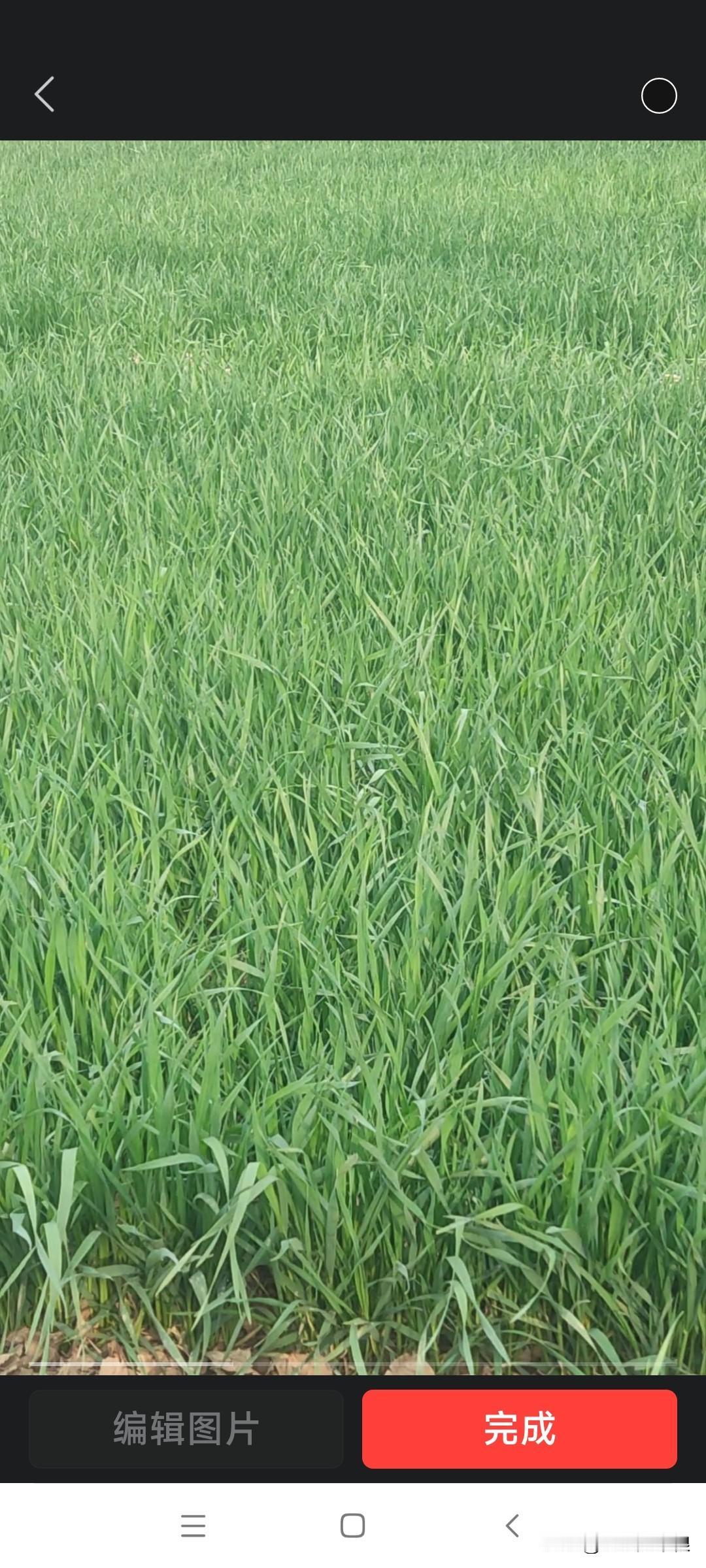 村里大搞农田基本水利建设，方便村民浇地计划铺设管道，引河水浇地。要从我地里经过，