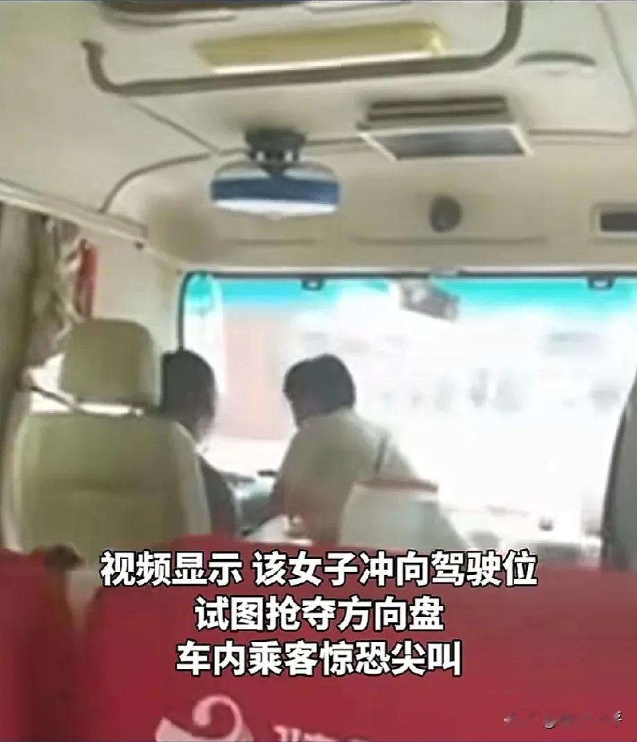 无语！大妈突然抢夺司机方向盘，全车人除了尖叫，没有人上前制止。重庆公交车坠江案历