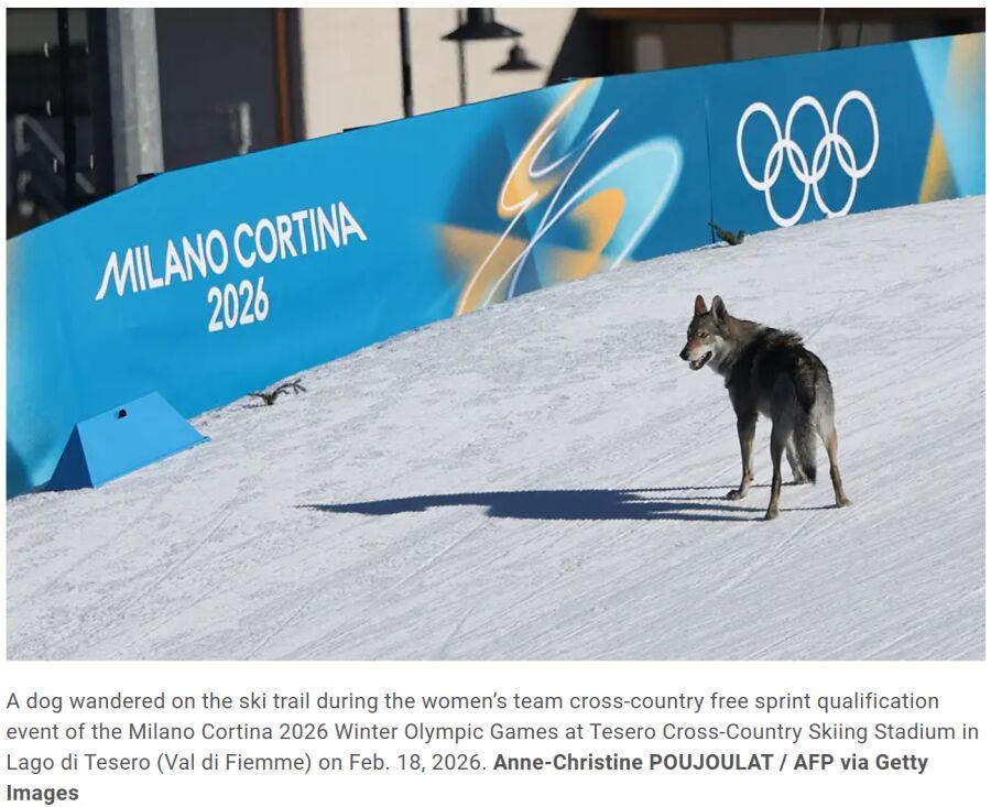 2月18日米兰 - 科尔蒂纳冬奥会越野滑雪女子团体短距离自由式资格赛，出现超有趣