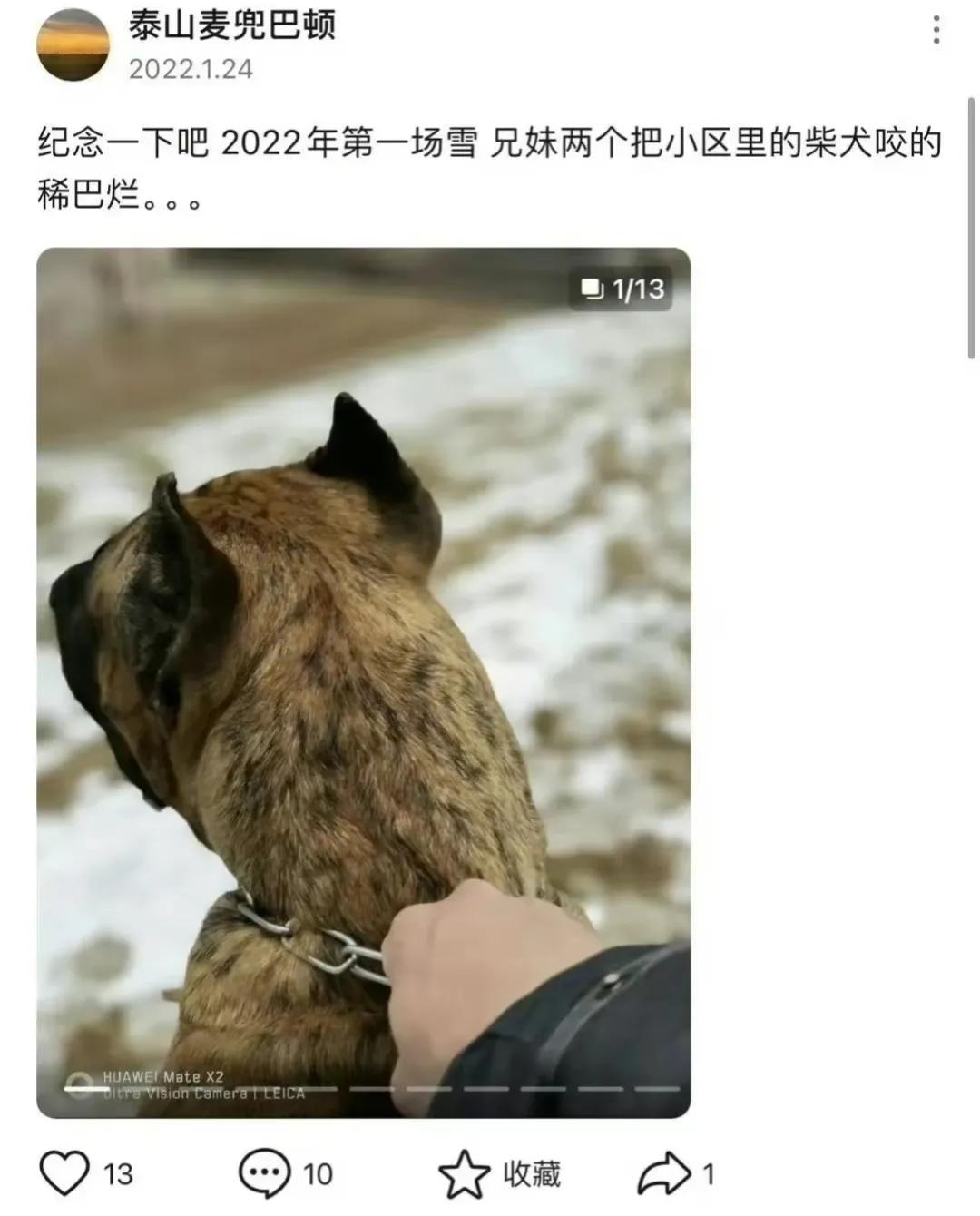济南怎么出了这么一个私孩子，养了三个狗就狂的没边了，真给济南人丢脸。


还把自