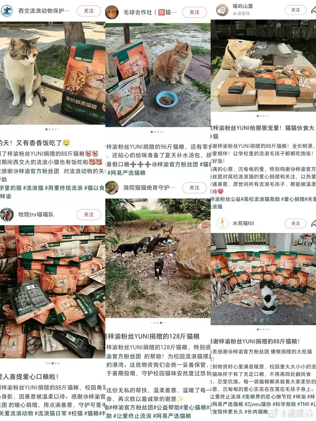 对比梓渝粉丝和田栩宁粉丝的追星方式，还真的蛮不同的能够把爱偶像的力量转化成对小动