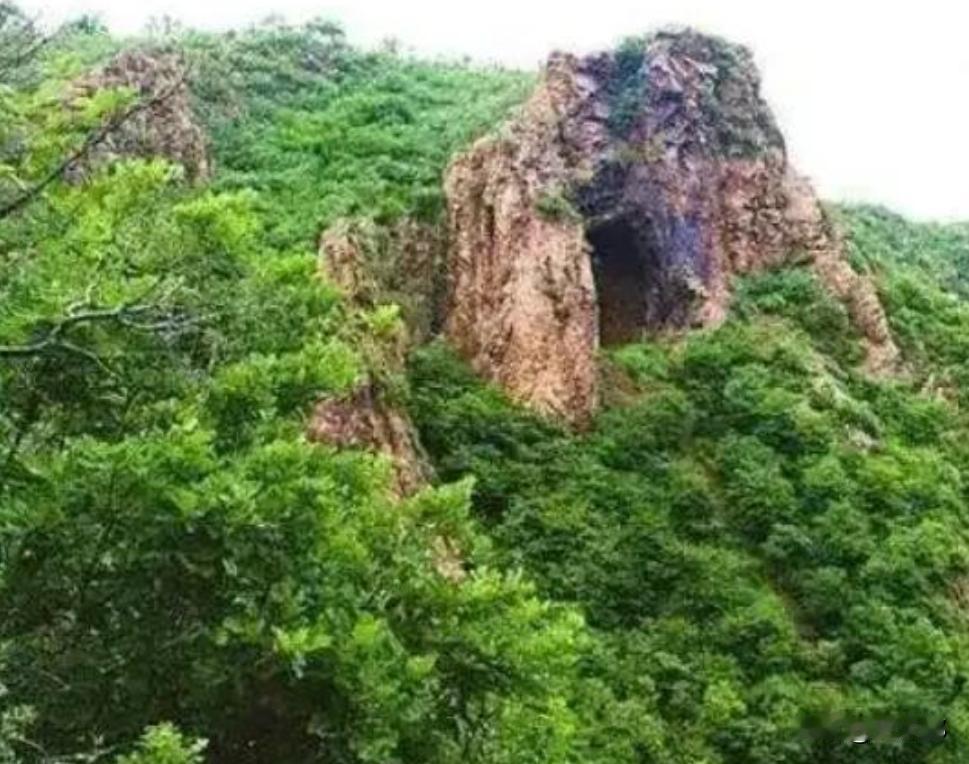 1999年寒冬，河北隆化县四名少年上山干活，为躲避风雪钻进深山鸽子洞，一次偶然的