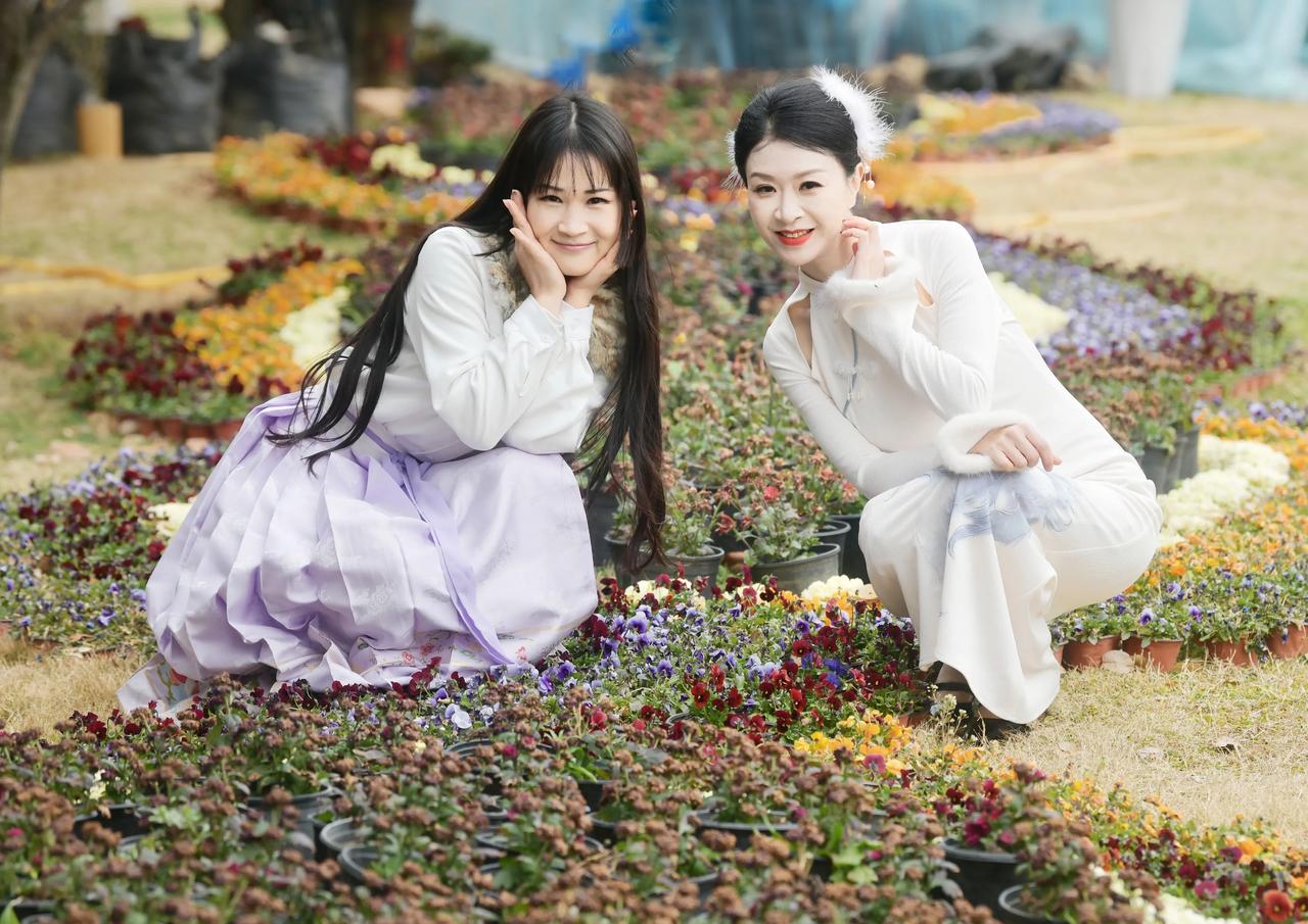 美不胜收！“共享花园”让市民共享春天
      天气乍暖还寒，位于襄阳市襄城区