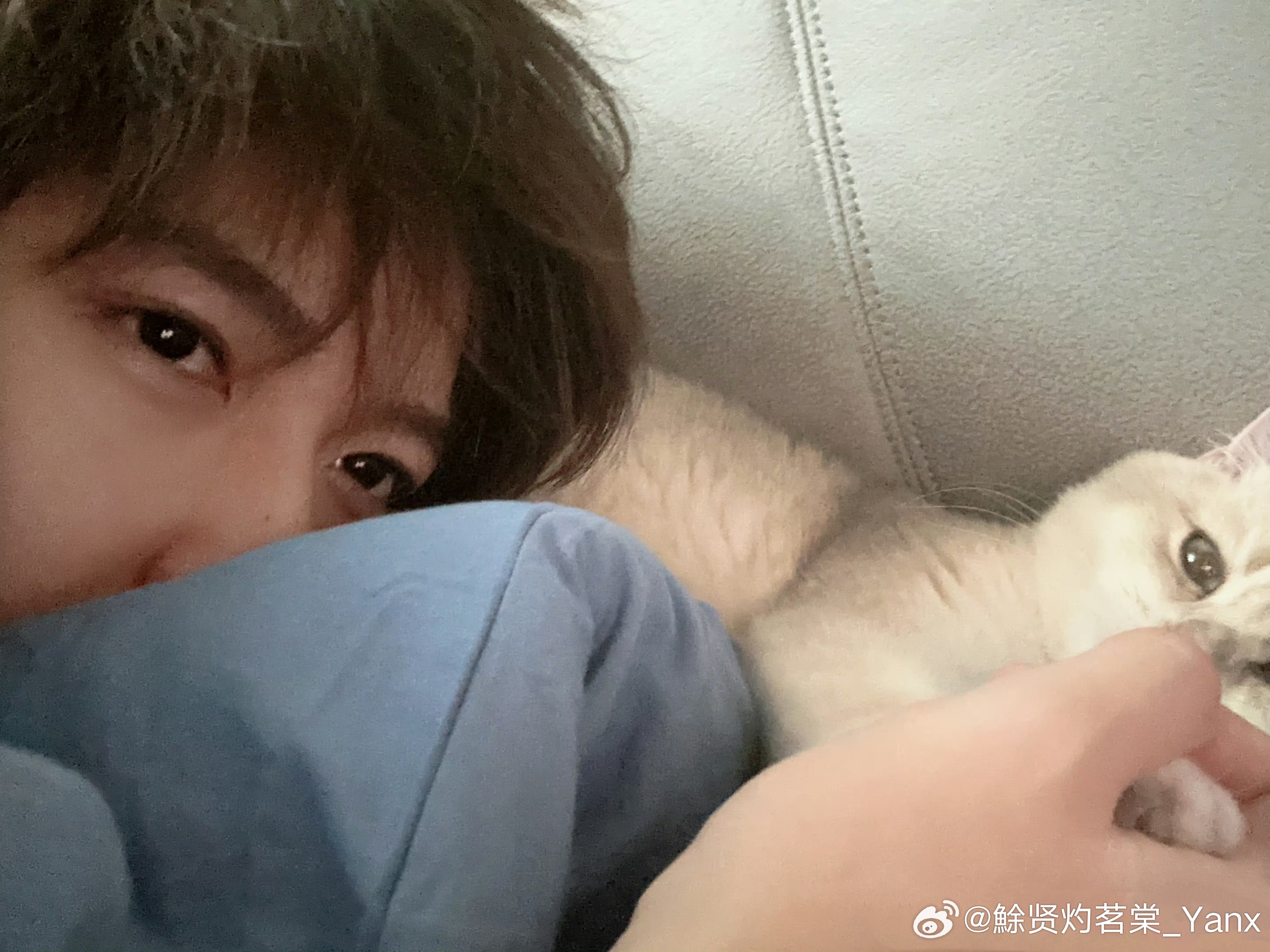 贺峻霖 hjl贺峻霖 二代唯一all绿hjl贺峻霖 青年主持人“你的星光 是秋天