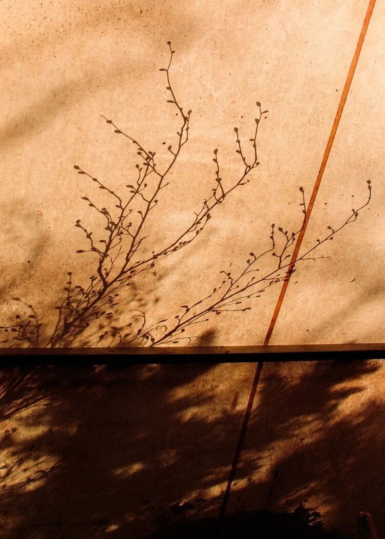 频繁记录是为了让回忆可以翻阅｜Tanguy Troude 