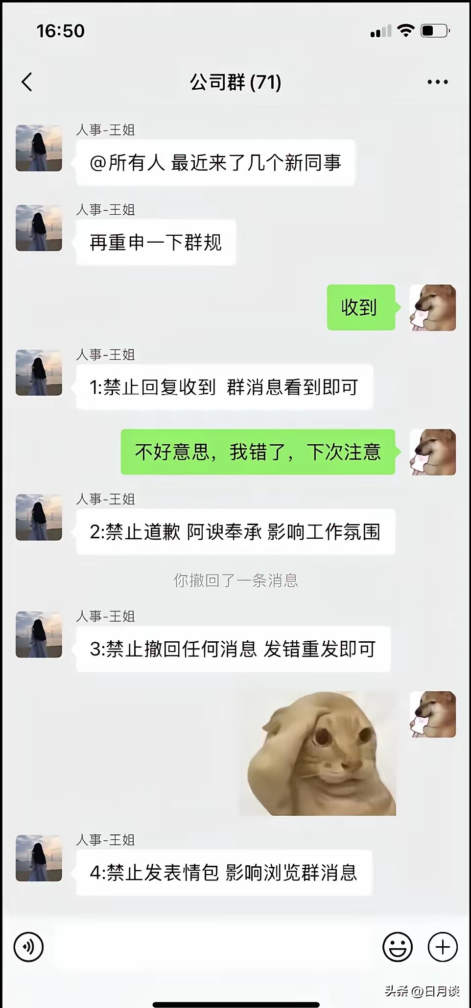 一下把公司规定都摸清了 