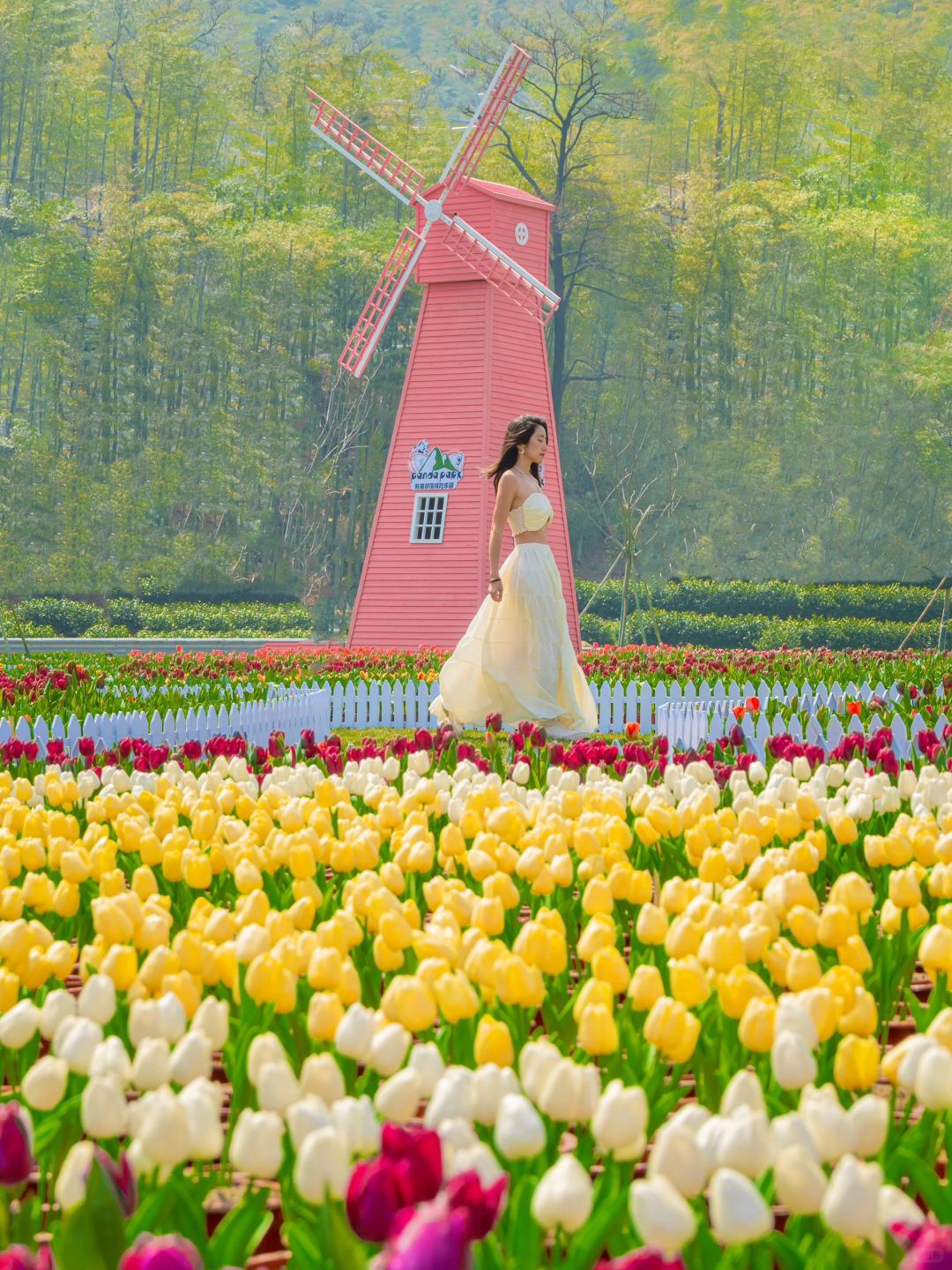 郁金香花海❗️杭州99%的人没去过的小众乐园