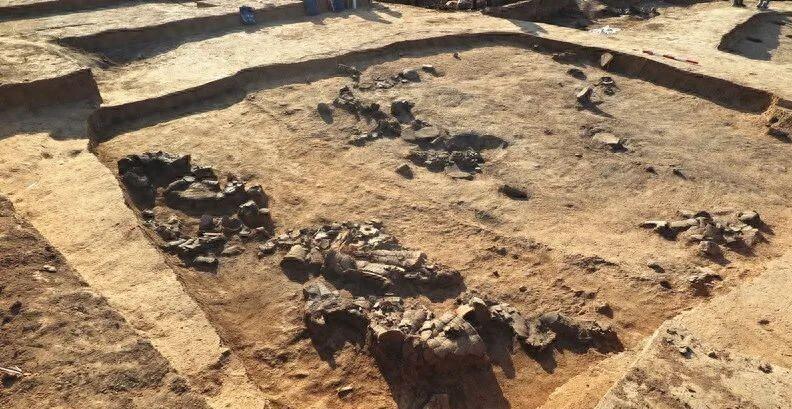 辽西荒原惊现8000岁石龙，考古队员颤抖着拨开黄土，中华文明起源说被彻底颠覆，史