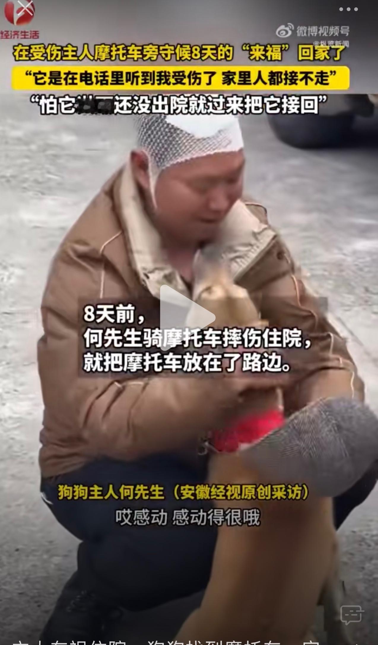 四川狗狗蹲守主人摩托车8天！主人住院未归，它的坚守看哭无数人

四川绵阳平武县最