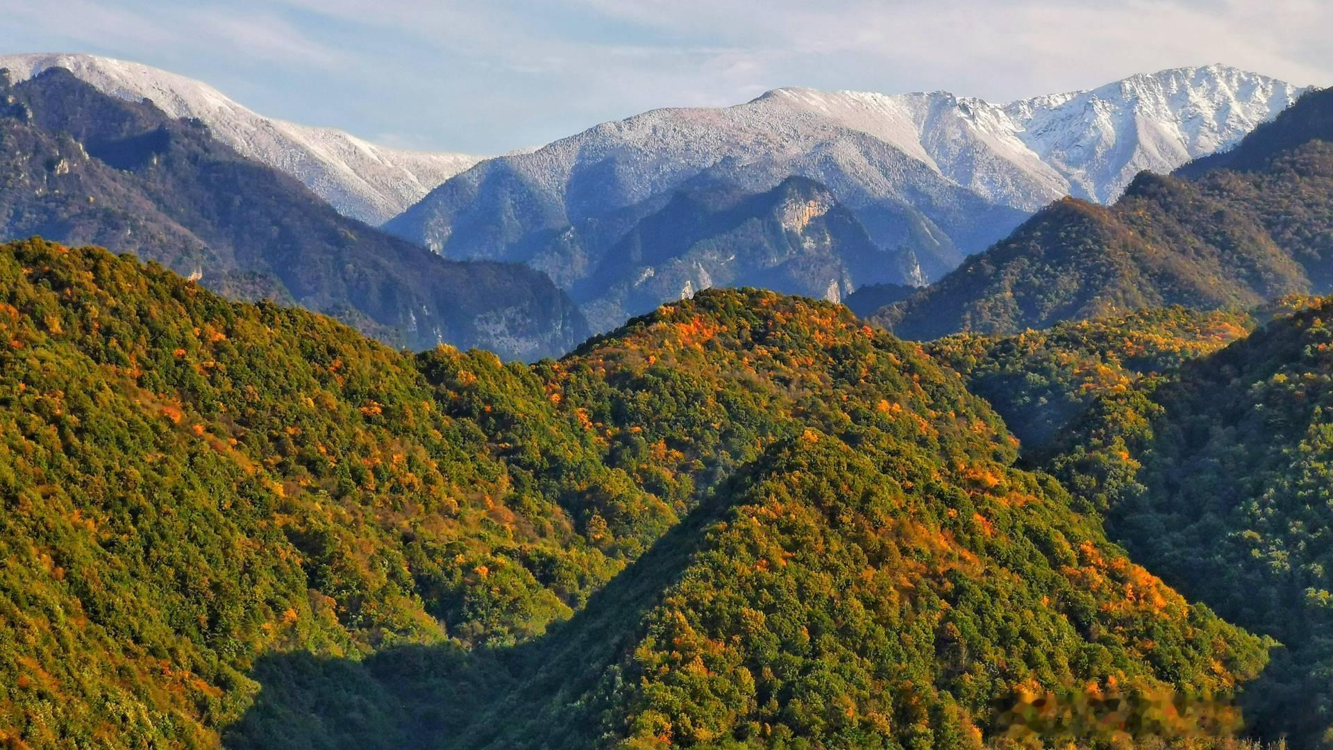 陈坤体验一山四季 秦岭四季流转、气象万千，以辽阔胸怀包容万物。陈坤行走其间有感而