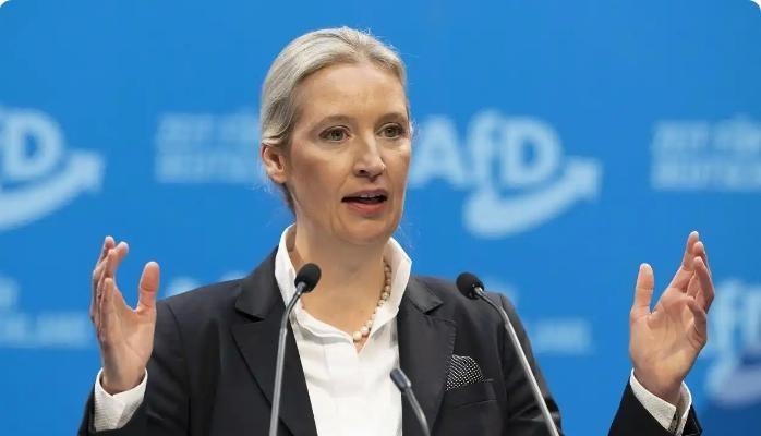一分钱不给，一杆枪不送，一个兵不派，2026年7月18日，德国马格德堡竞选台上传