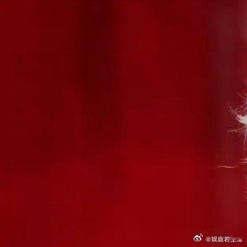 鹿晗闪耀香港穿红色衣服，现场送10个labubu。鹿晗憋了半天“雷猴哦靓女”，粤