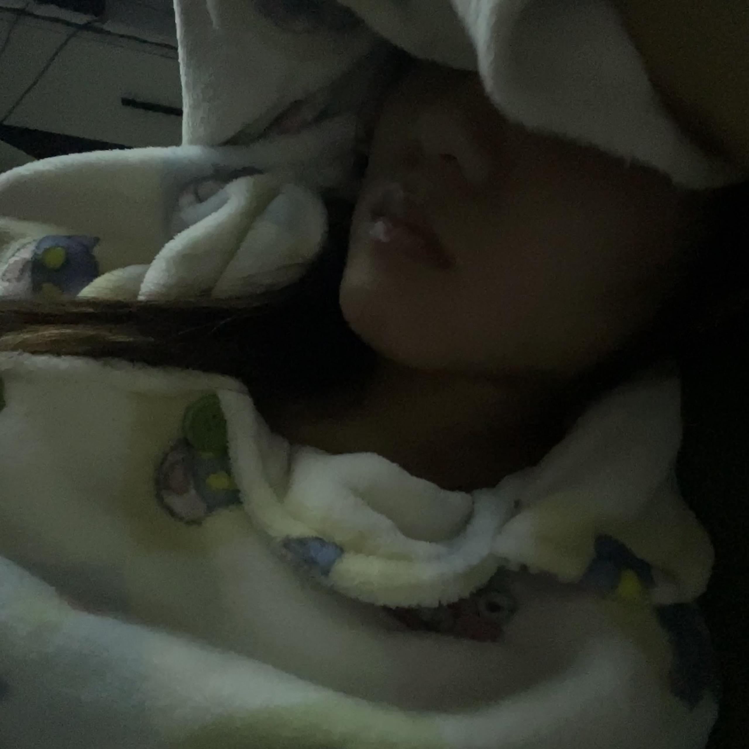 生活就像朱之文 拼尽全力也进不去华语乐坛前辈20