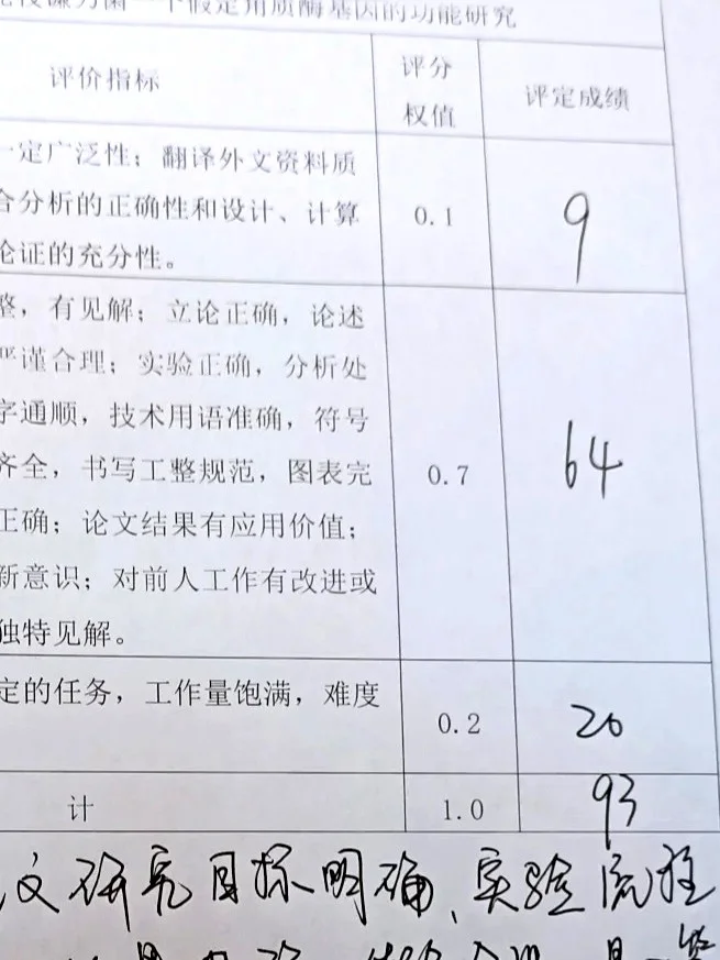 答辩照着念，高分通过🥳！