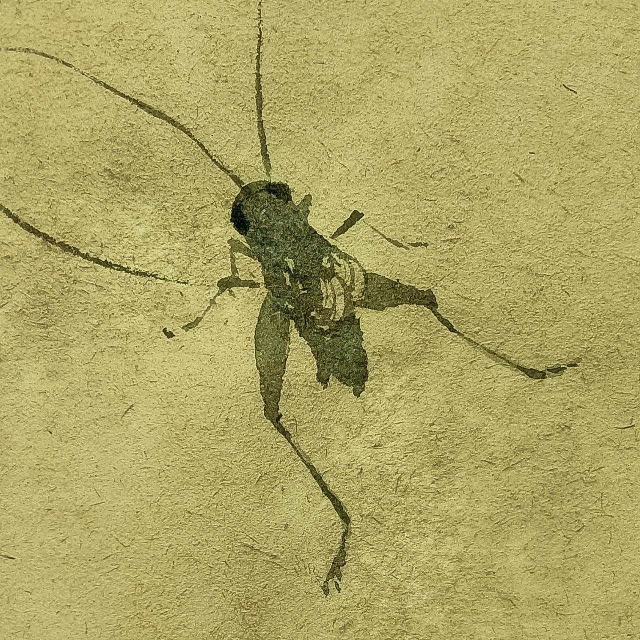 随笔，三合一