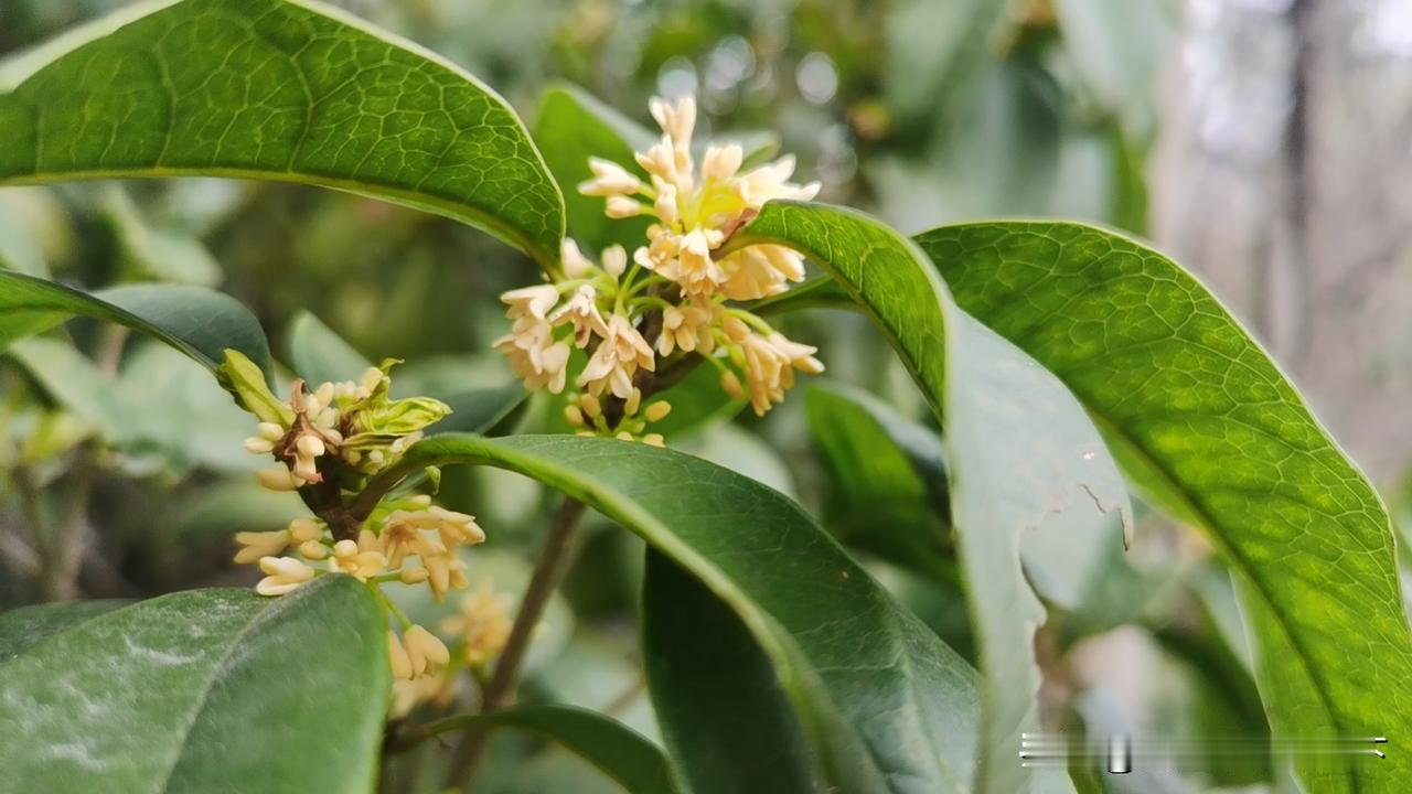 45岁其实才是我们中年人梦寐以求的退休最佳年龄！
从身体方面来讲，
45岁是健康
