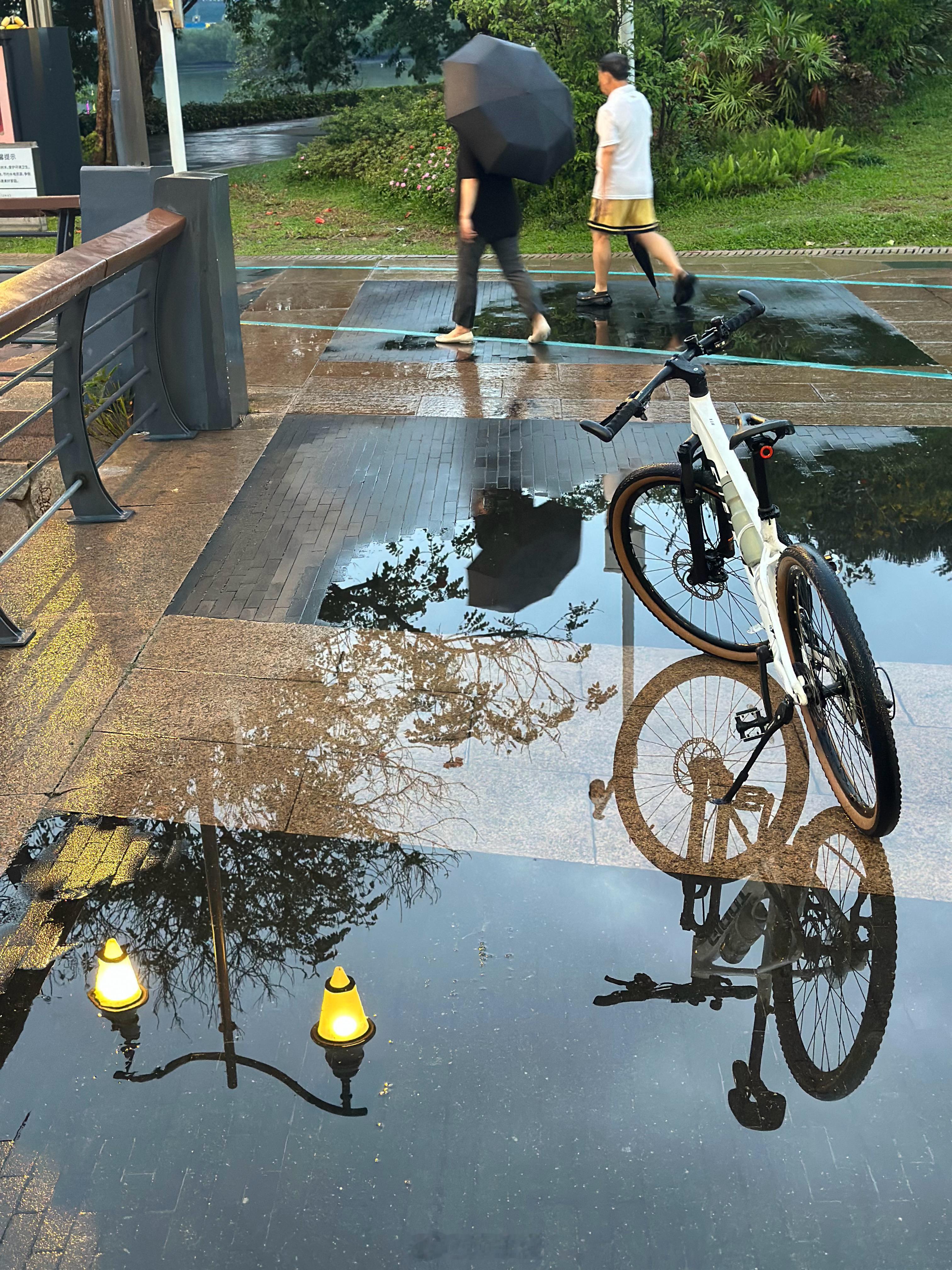 等一条原装新胎两天后又可以运动起来啦🚴 