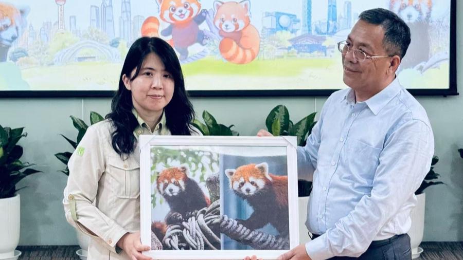 小熊猫牵起双城纽带，沪台论坛续写融合新篇
初夏的台北，迎来了一对特殊的「新朋友」