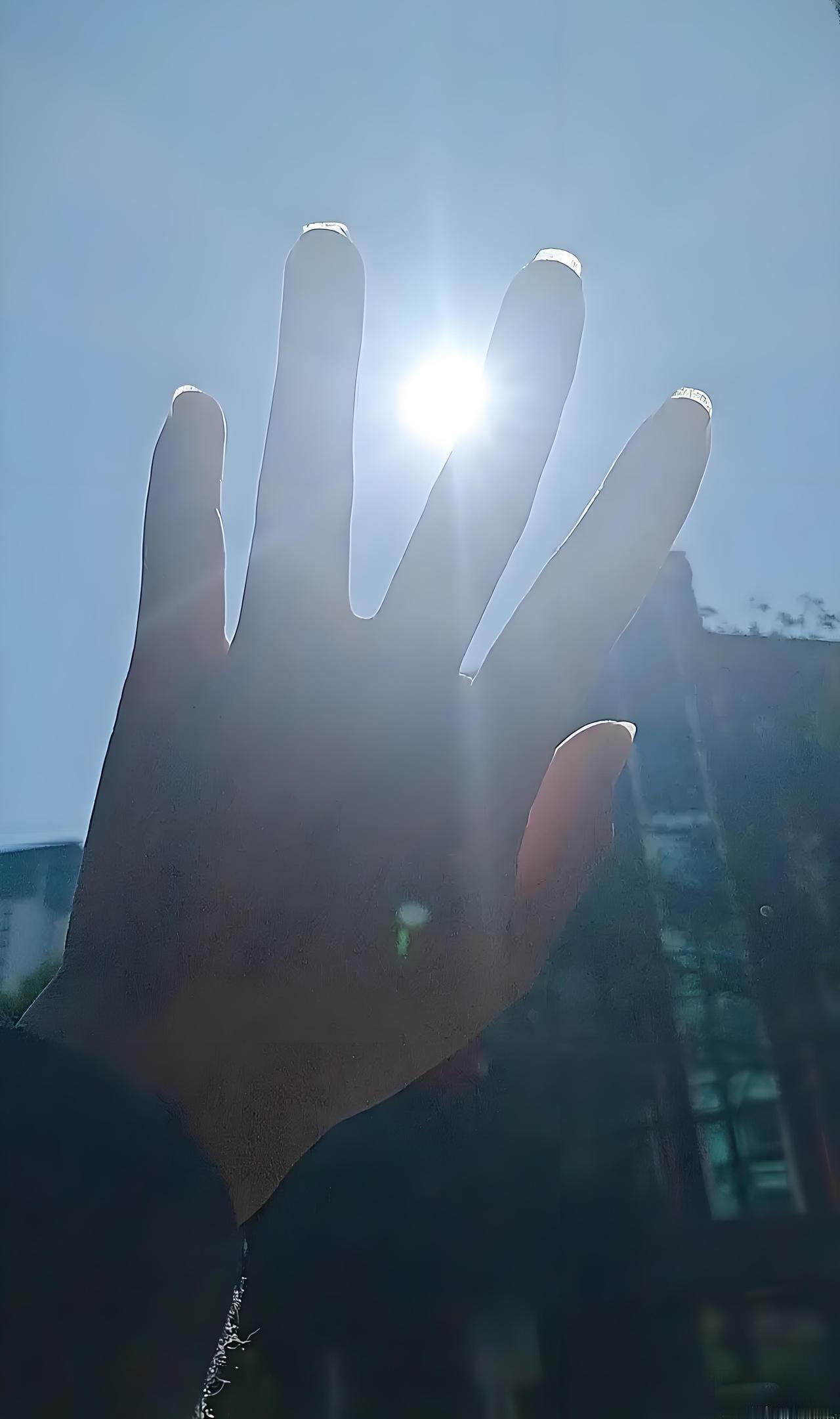 南方的冬日，没有千里冰封的凛冽，却藏着独一份的温润与慵懒。
 
不必裹着厚重的棉