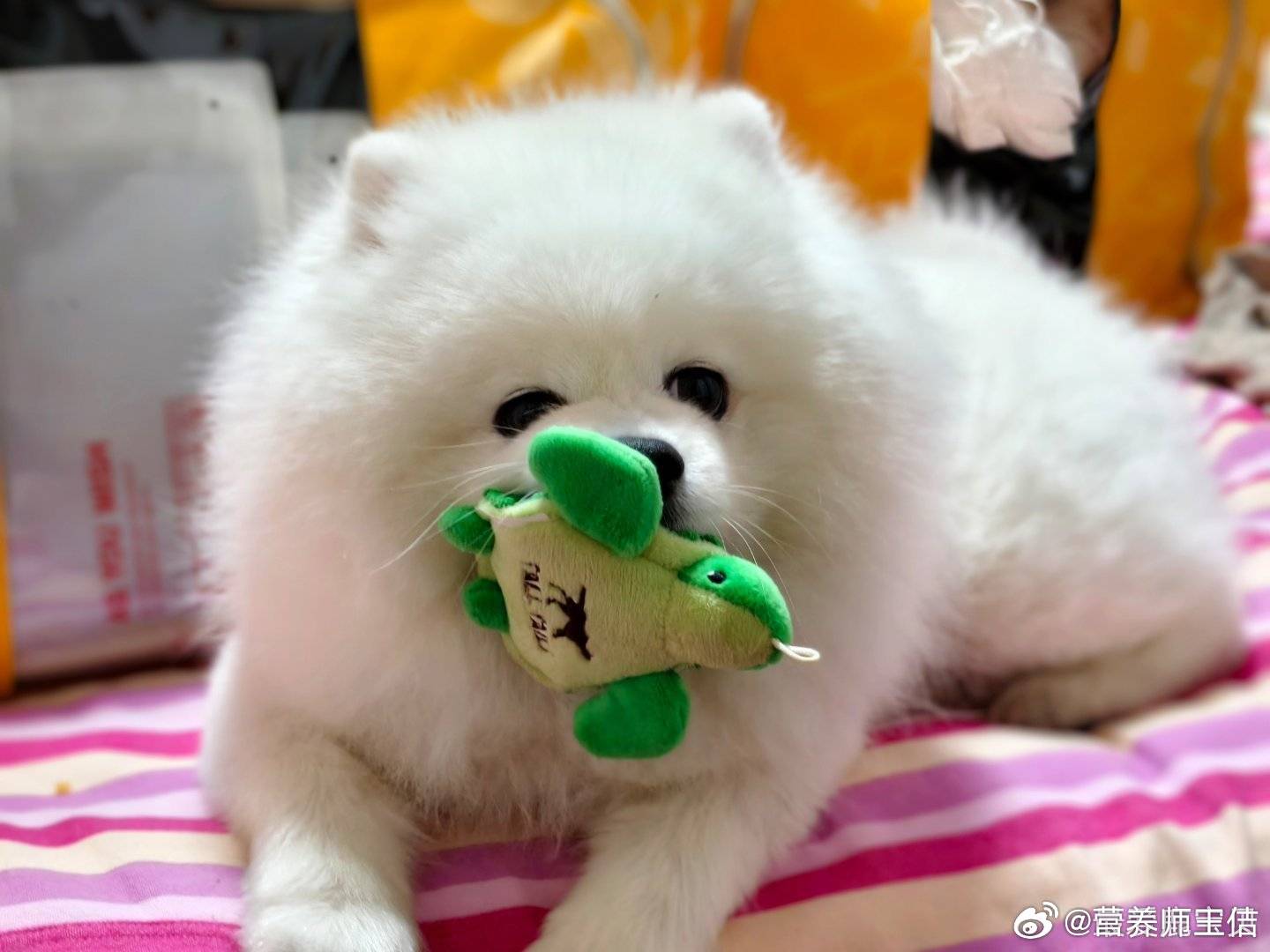 有没有人好好吃饭 呀~来给我检查一下~今天你吃了啥,给我看看