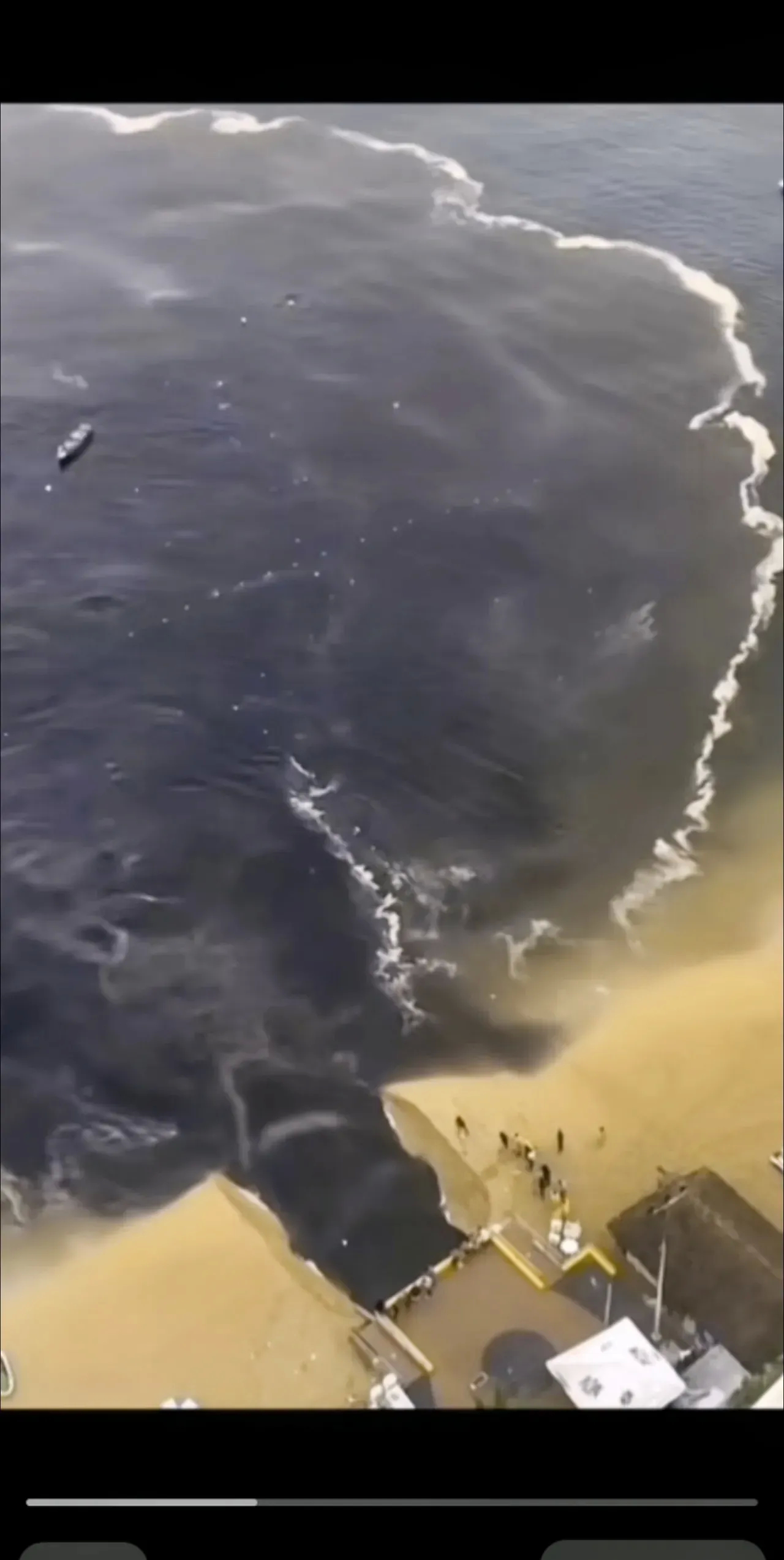 #岸田声称要求中方撤销进口管制措施#岸田真把自己当根葱了？啥玩意儿？[弱]让日本