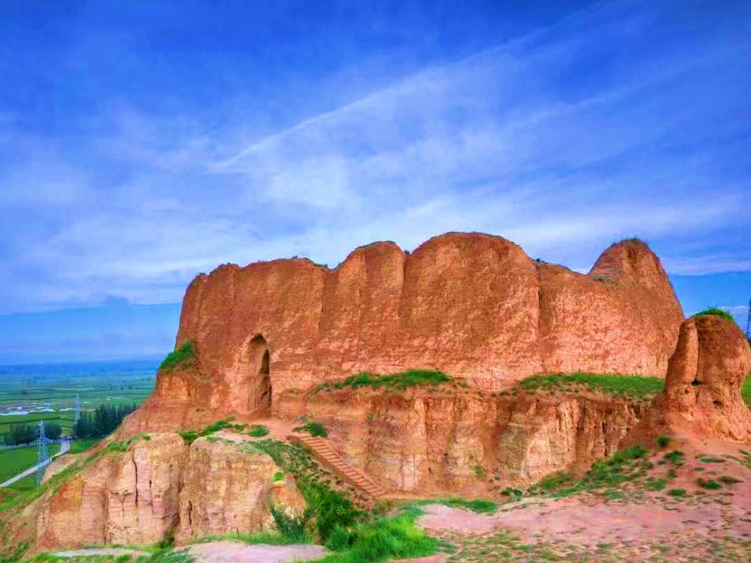 随手拍美丽花朵。