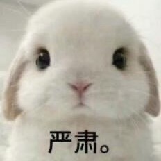 马上就到呼和浩特场了这个外交思想库怎么一直在发呼伦贝尔。做数据的别做着做着买错票