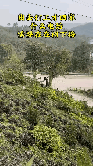 再给她多些时间，
你们说那棵树皮，
会不会被她扒拉了个精光？