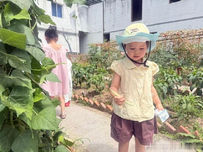 台州仙居共享菜园打开朝夕相伴新图景共享菜园落地乡村，邻里一同耕耘劳作、收获果蔬，