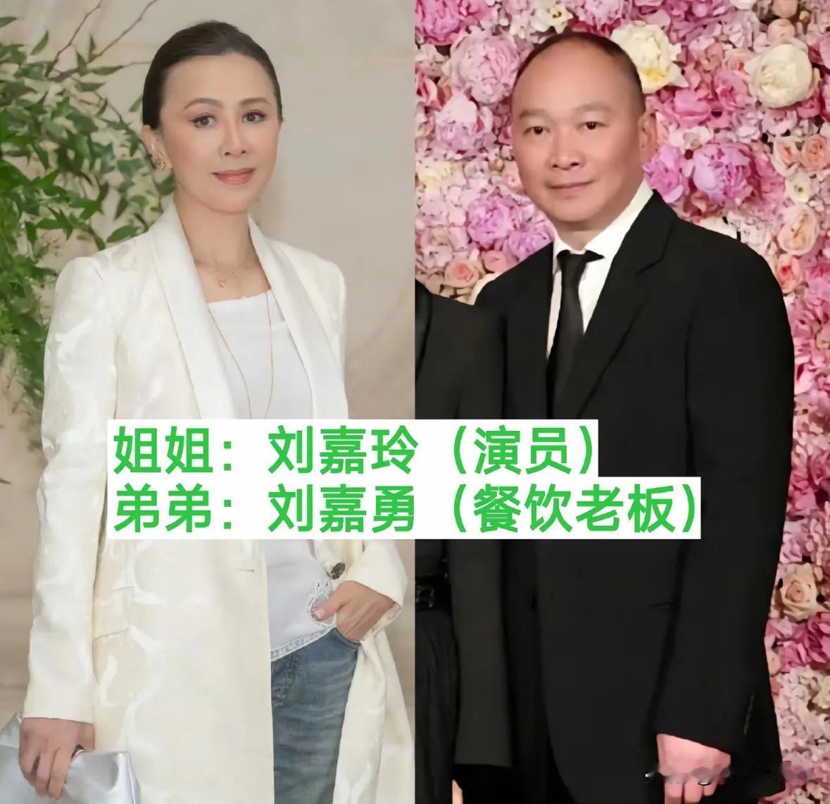 刘嘉玲的弟弟。
梁咏琪的弟弟。
昆凌的弟弟。
萧亚轩的弟弟。
刘嘉玲是港圈极具分