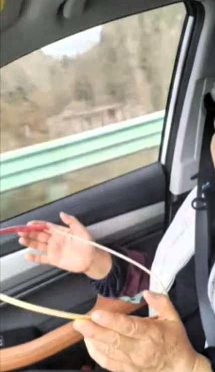 “人怎么能这么聪明！”浙江，一男子为缓解母亲严重的晕车问题，在途中用一根树枝当作