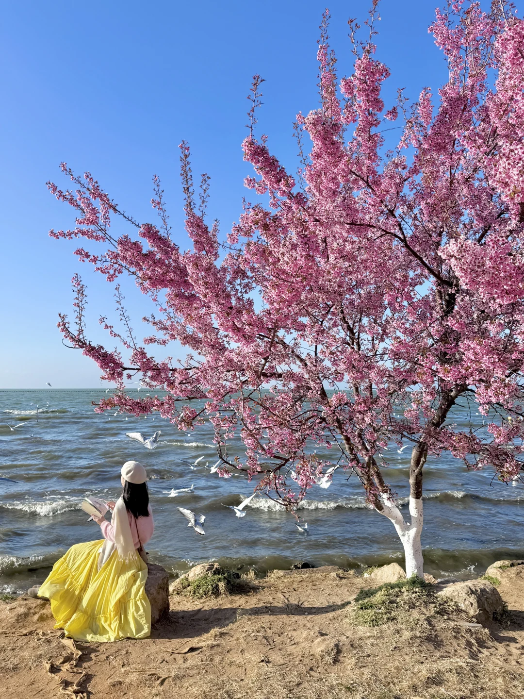 为春天准备的18套旅行穿搭🌸 她的奖励时刻