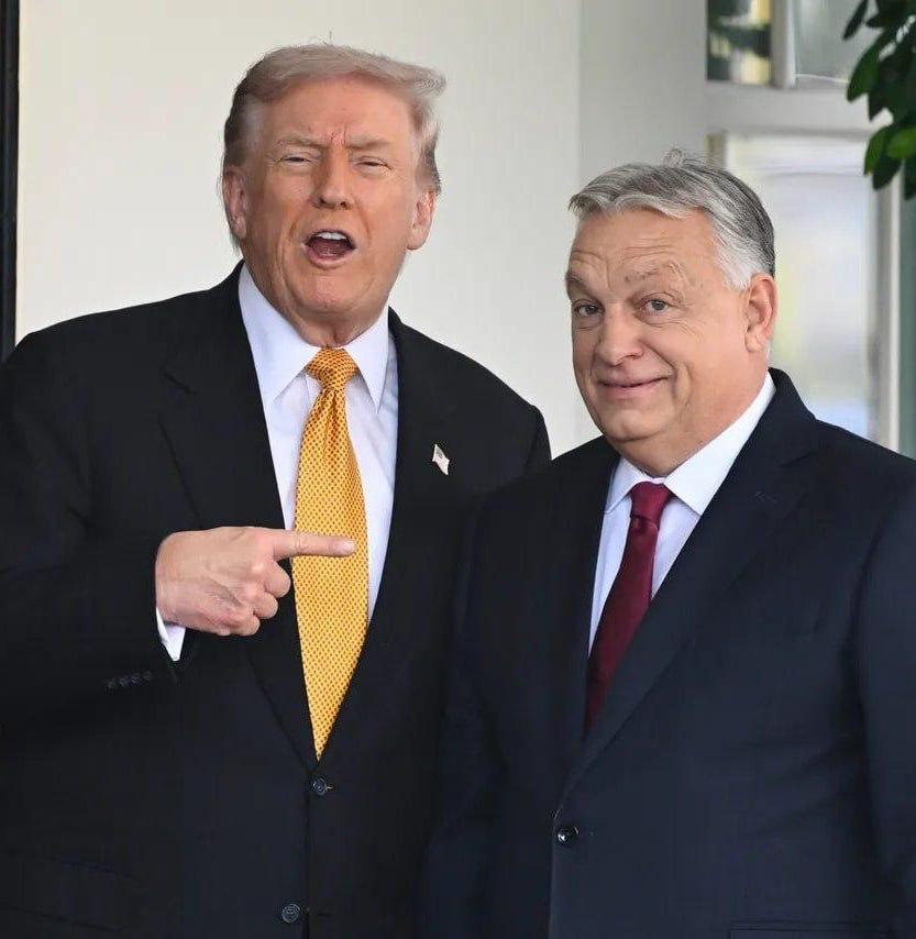 《纽约时报》直言：匈牙利大选结果大概率让特朗普大失所望。
特朗普曾公开称“我喜欢