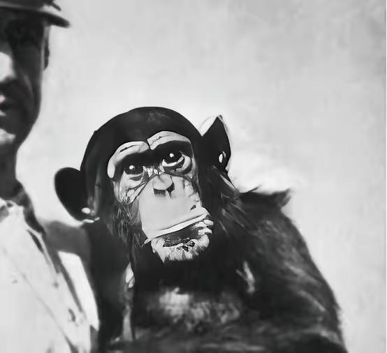 1920年，一俄国医生突发奇想，将猴睾丸移植到74岁老人体内，术后，没想到这位老