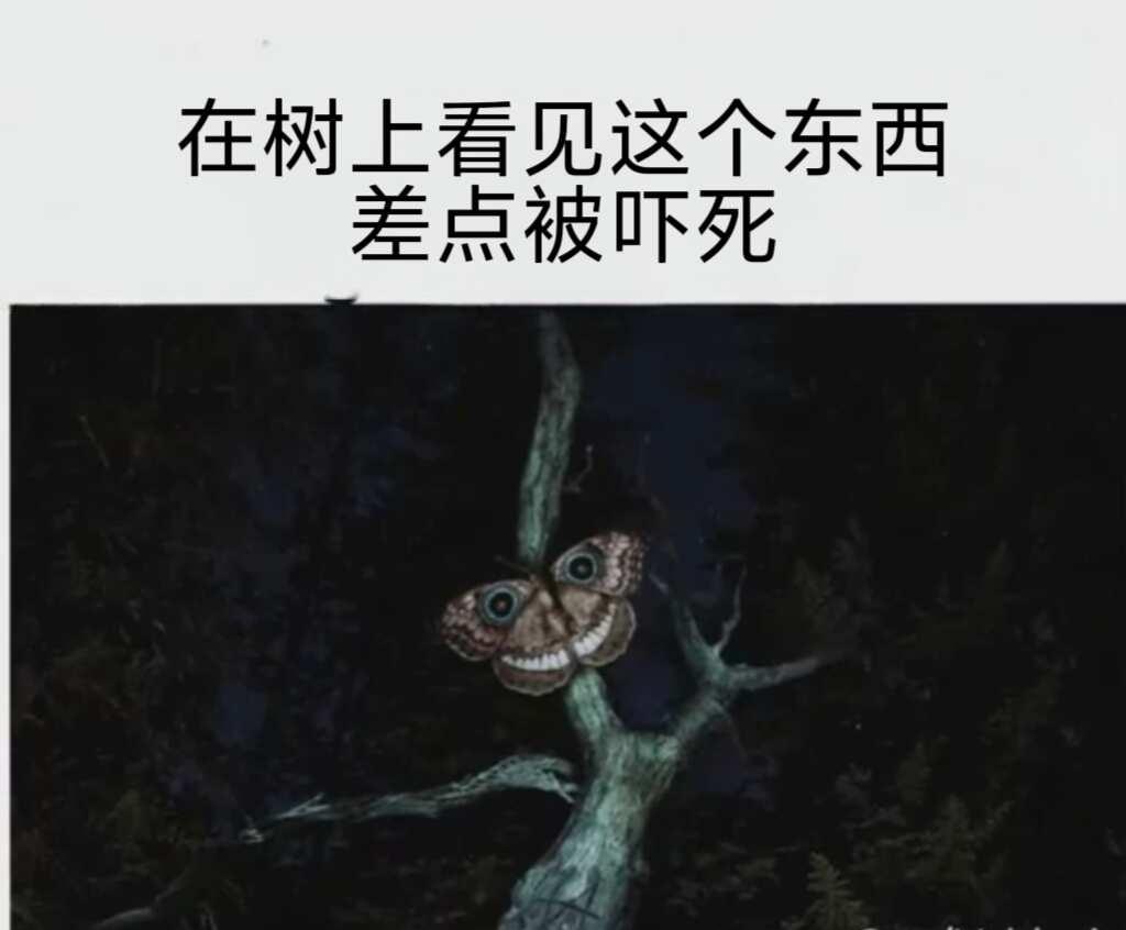 真有点恐怖了 恐怖流meme
meme 梗图 此图有梗 吓人 怪人 脑洞 怪人