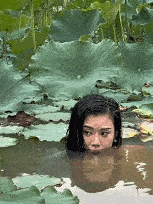 可能是我肤浅了，给我钱我都不敢呆在这样的水里，
怕蚂蝗，蛇，其它东西咬我，…真的