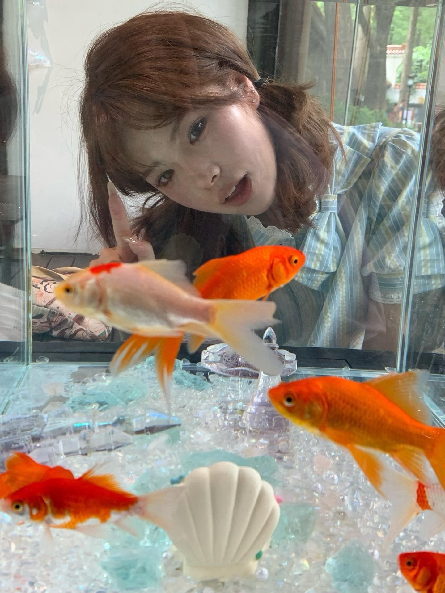 ⋆⁺₊⋆ ♡̷̷̷ ⋆⁺₊⋆。